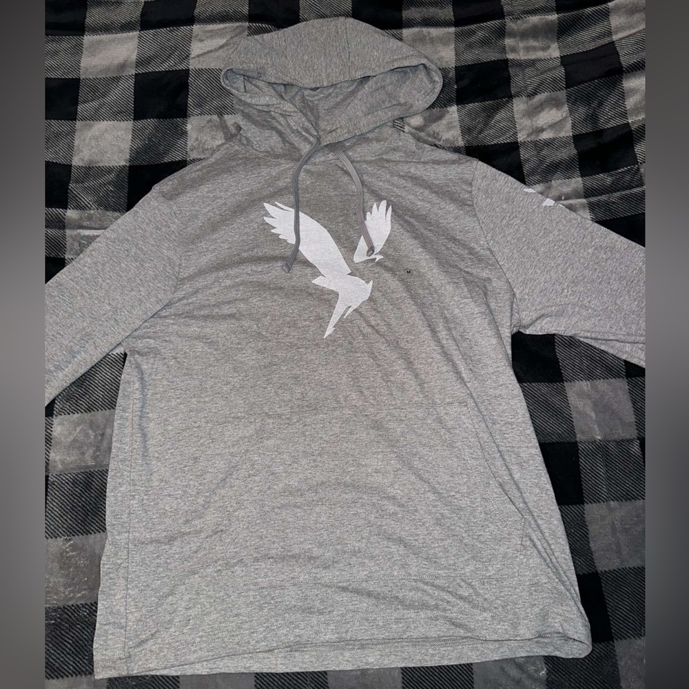 American Eagle Hooded Longsleeve